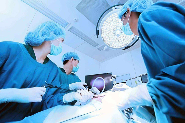 基于YOLO格式的宫腔镜图像良恶性病变目标检测数据集