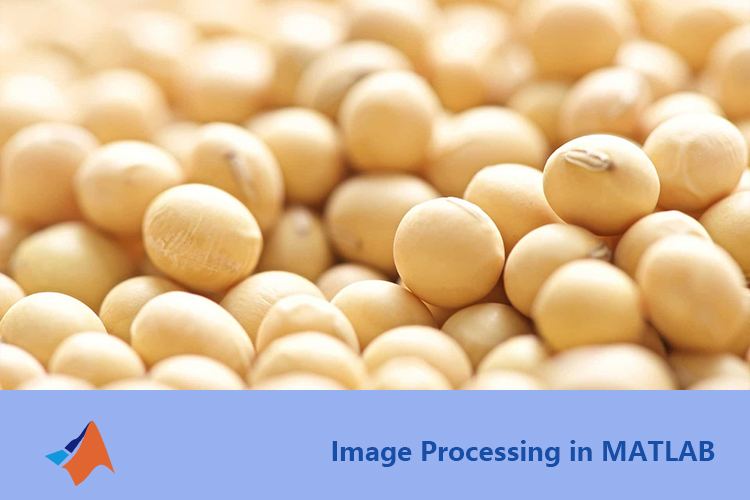 基于Matlab图像处理的黄豆自动计数系统设计与实现