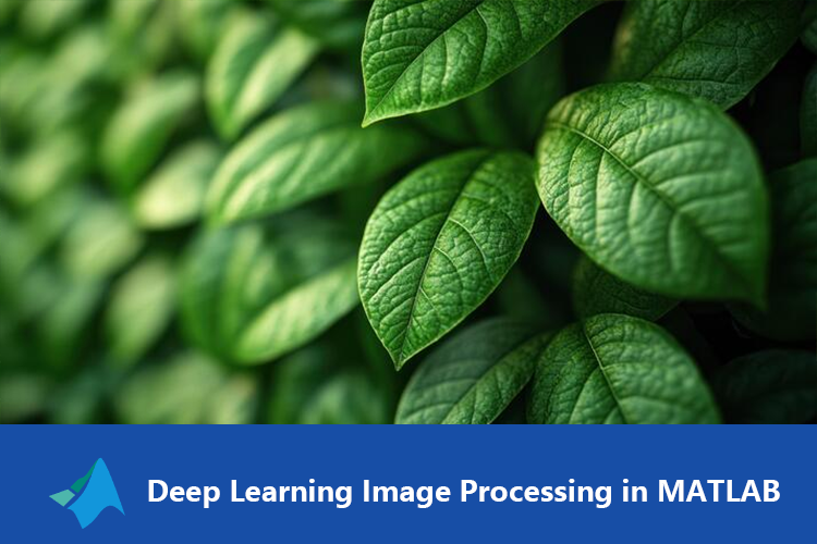 基于Matlab深度学习的植物叶片智能识别系统及其应用